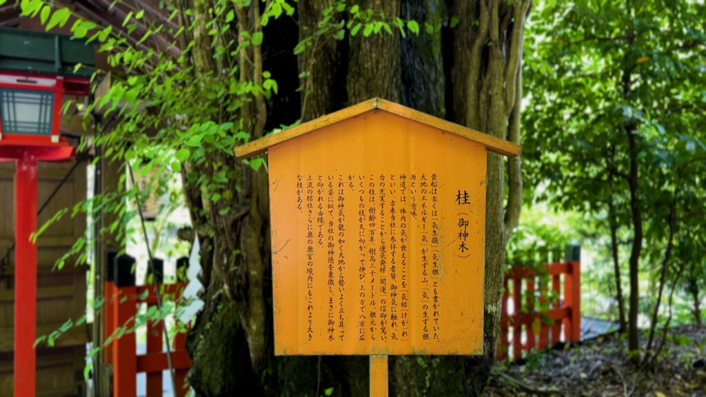 貴船神社、本宮、桂