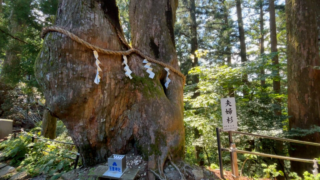 玉置神社６