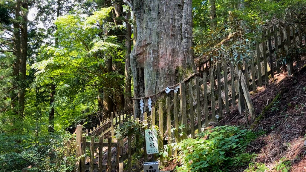 玉置神社７