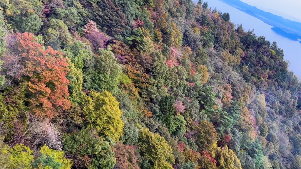 びわ湖バレイ・紅葉