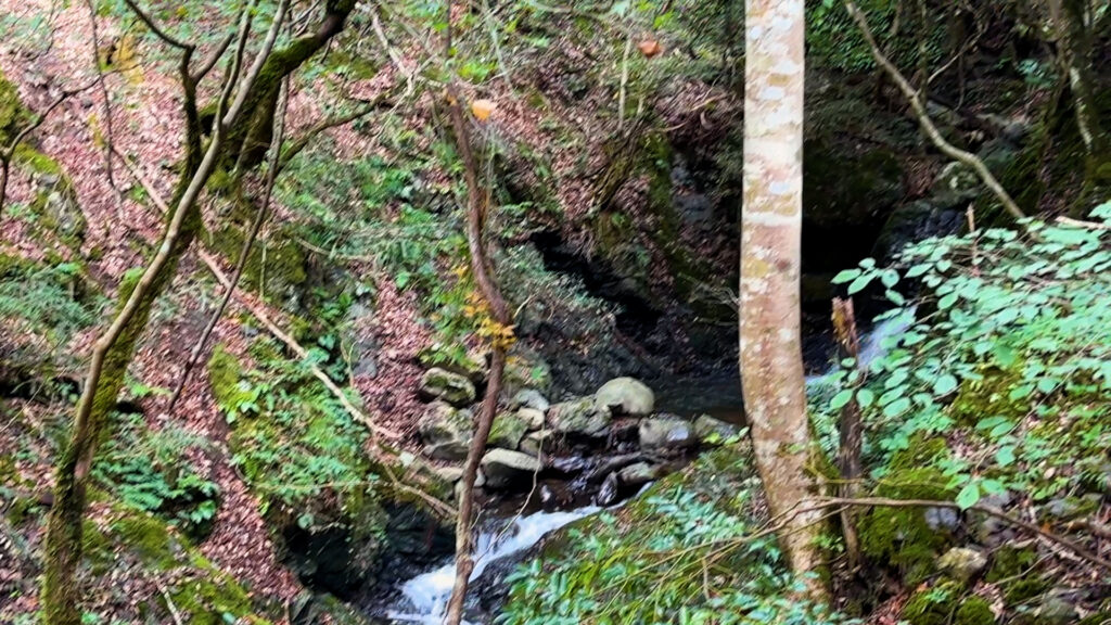 天滝・連理の滝