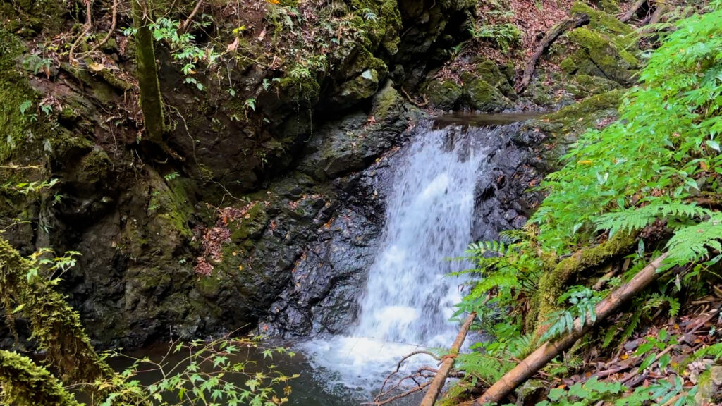 天滝・しのびの滝