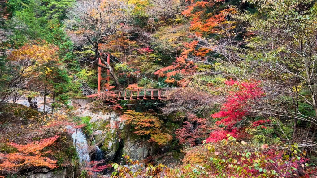 みたらいの滝