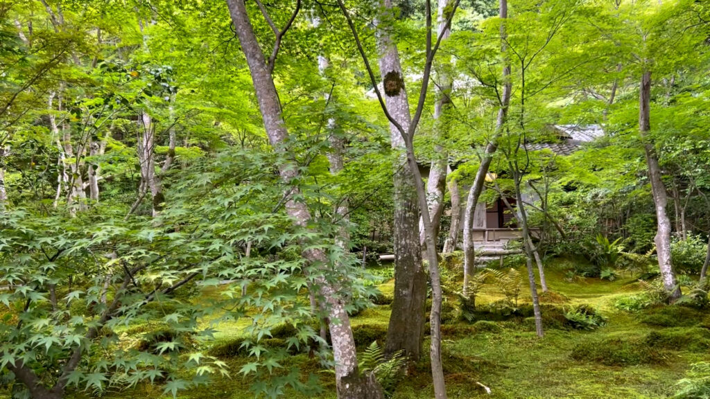 祇王寺2