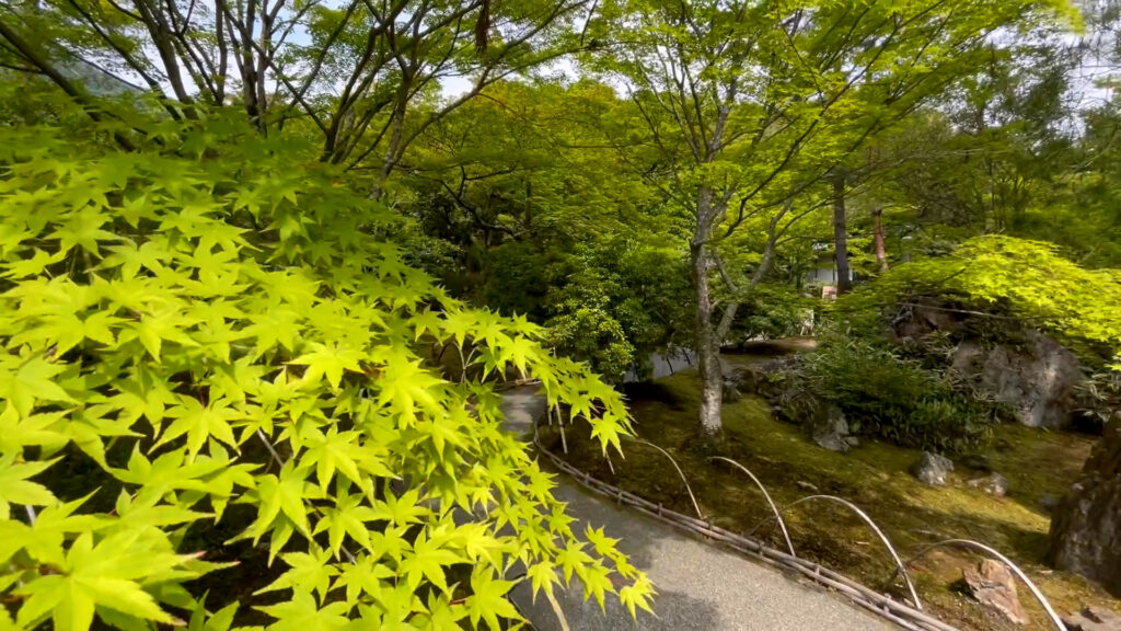 宝厳院2
