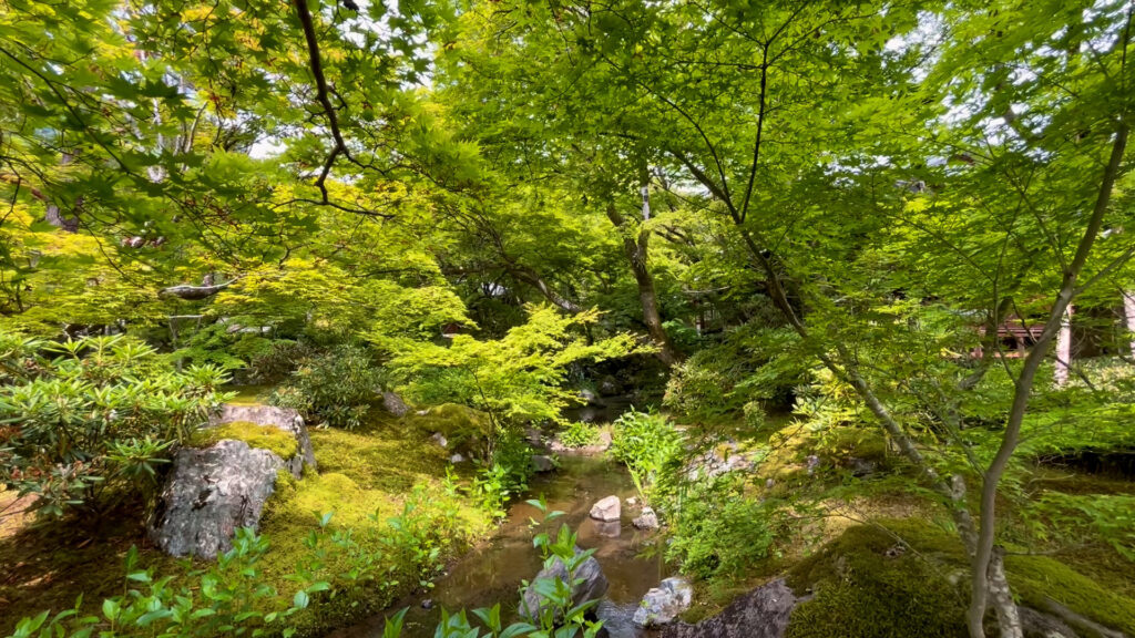 宝厳院3