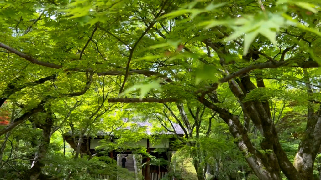 常寂光寺2