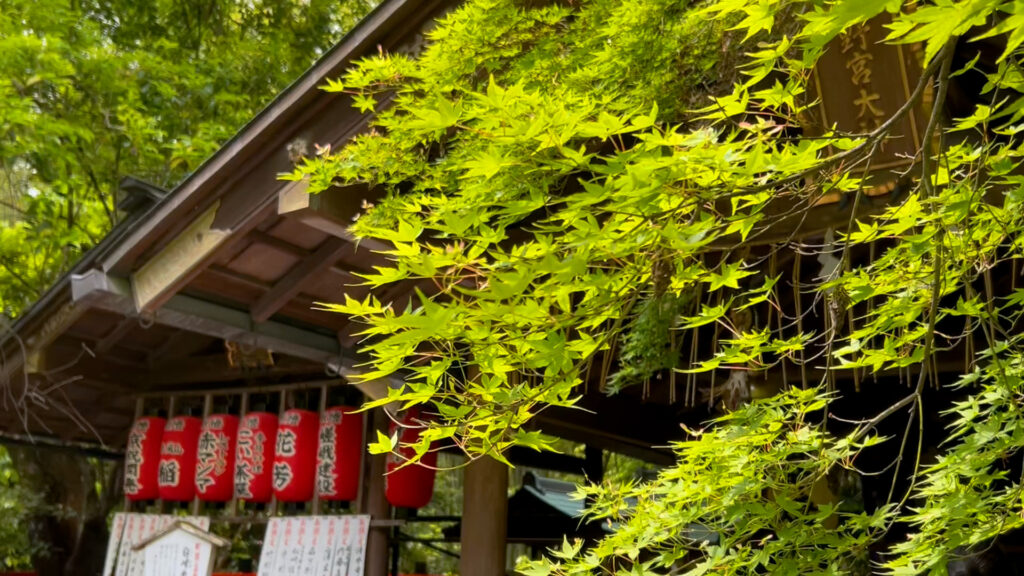 野宮神社2
