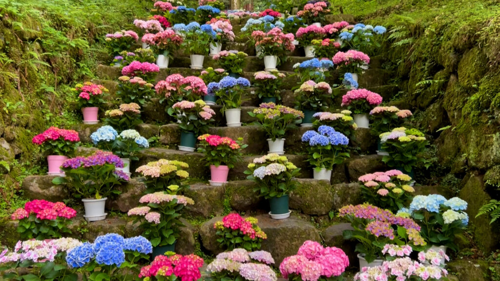 室生寺2