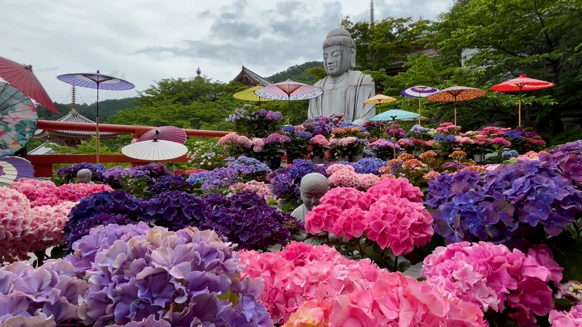 壺阪寺３