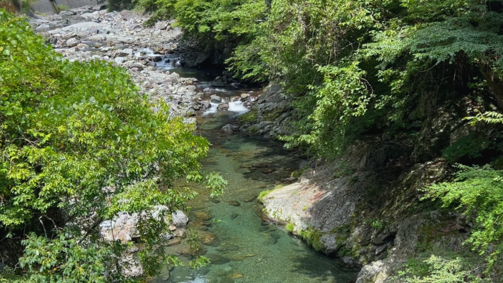 中奥川・上流５