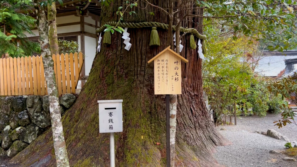 丹生川上神社・中社5