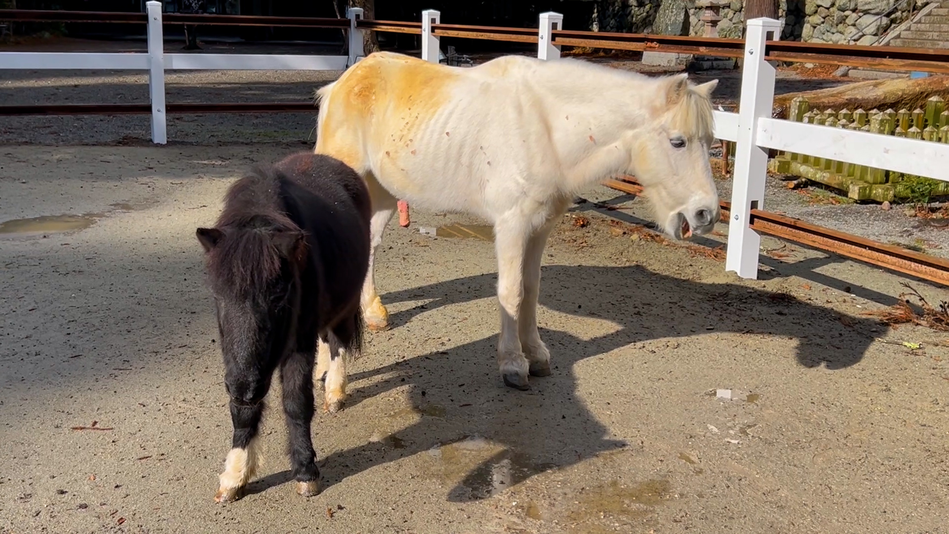 丹生川上神社・下社３