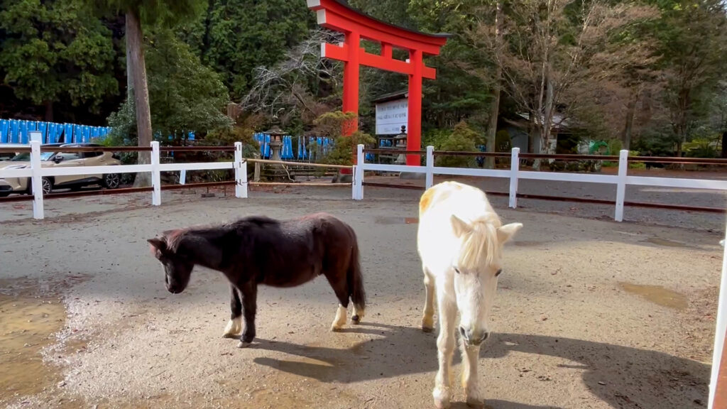 丹生川上神社・下社5